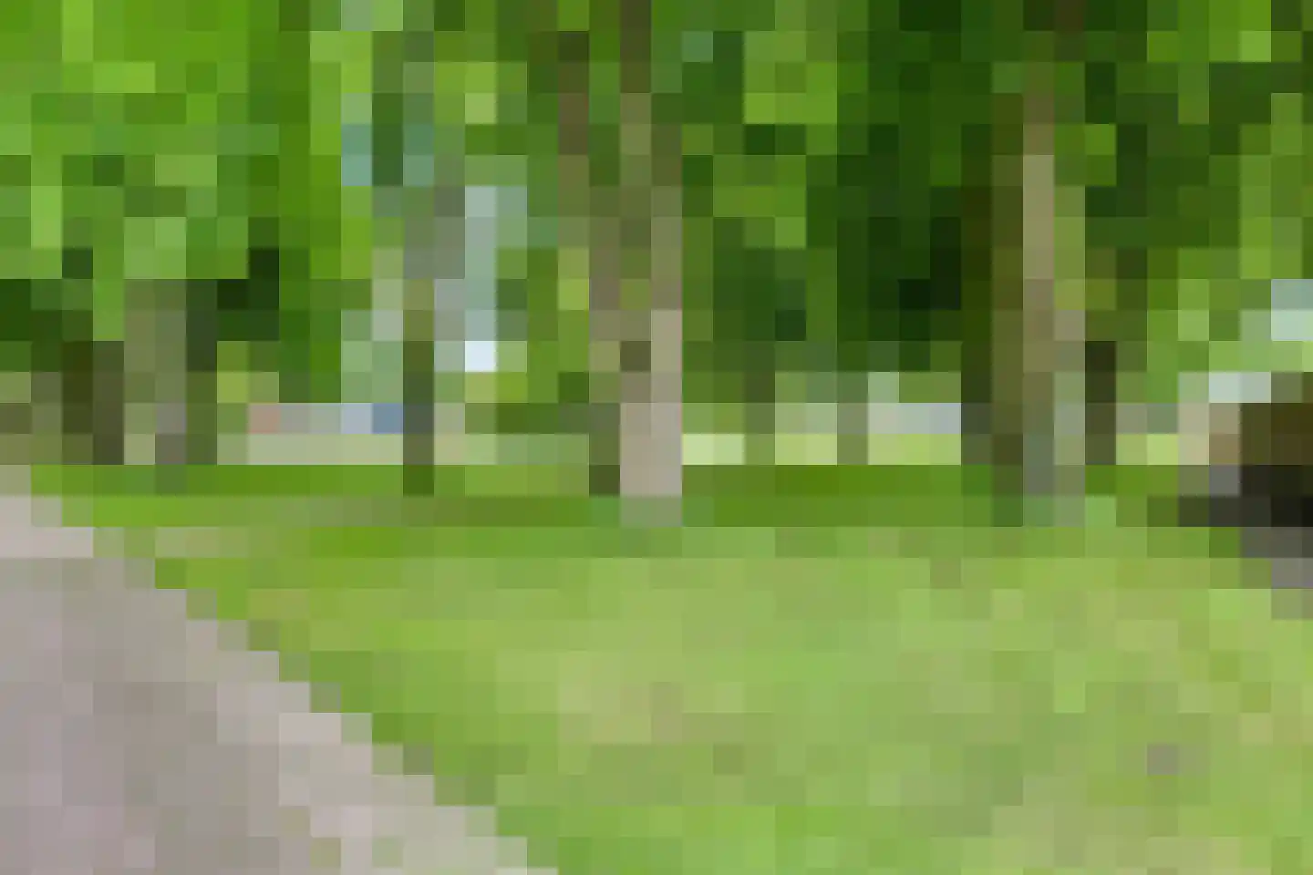 Laan van het Kinholt 507 Emmen thumbnail 31