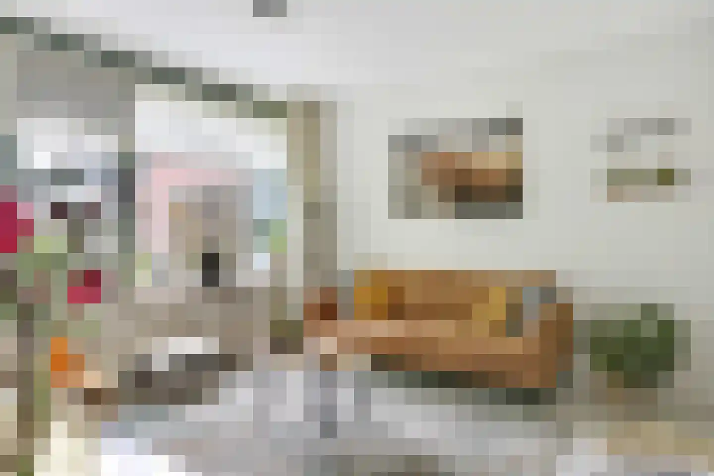 Laan van het Kinholt 507 Emmen thumbnail 4