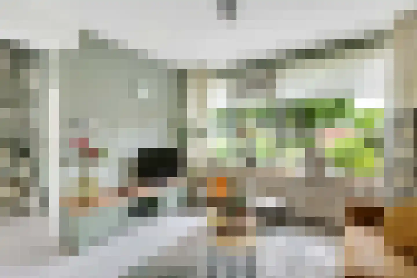 Laan van het Kinholt 507 Emmen thumbnail 6