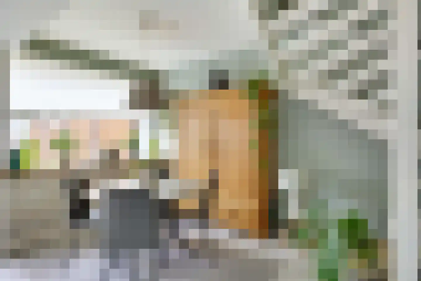 Laan van het Kinholt 507 Emmen thumbnail 9