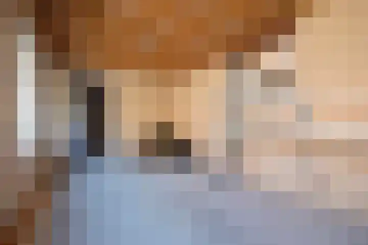 Laan van het Kinholt 585 Emmen thumbnail 41