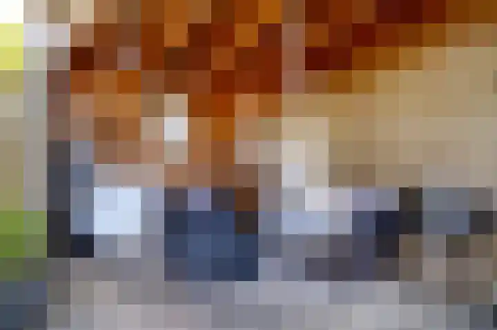 Laan van het Kinholt 585 Emmen thumbnail 47