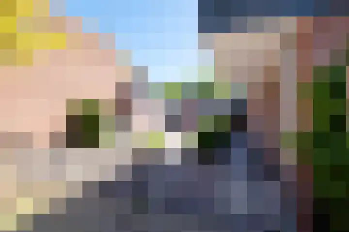 Laan van het Kinholt 585 Emmen thumbnail 50