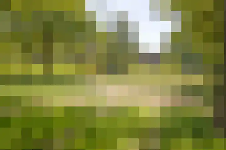Laan van het Kinholt 585 Emmen thumbnail 51