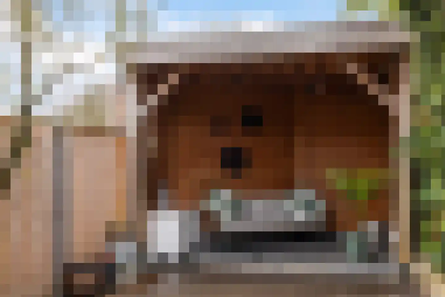 Laan van het Kinholt 603 Emmen thumbnail 32