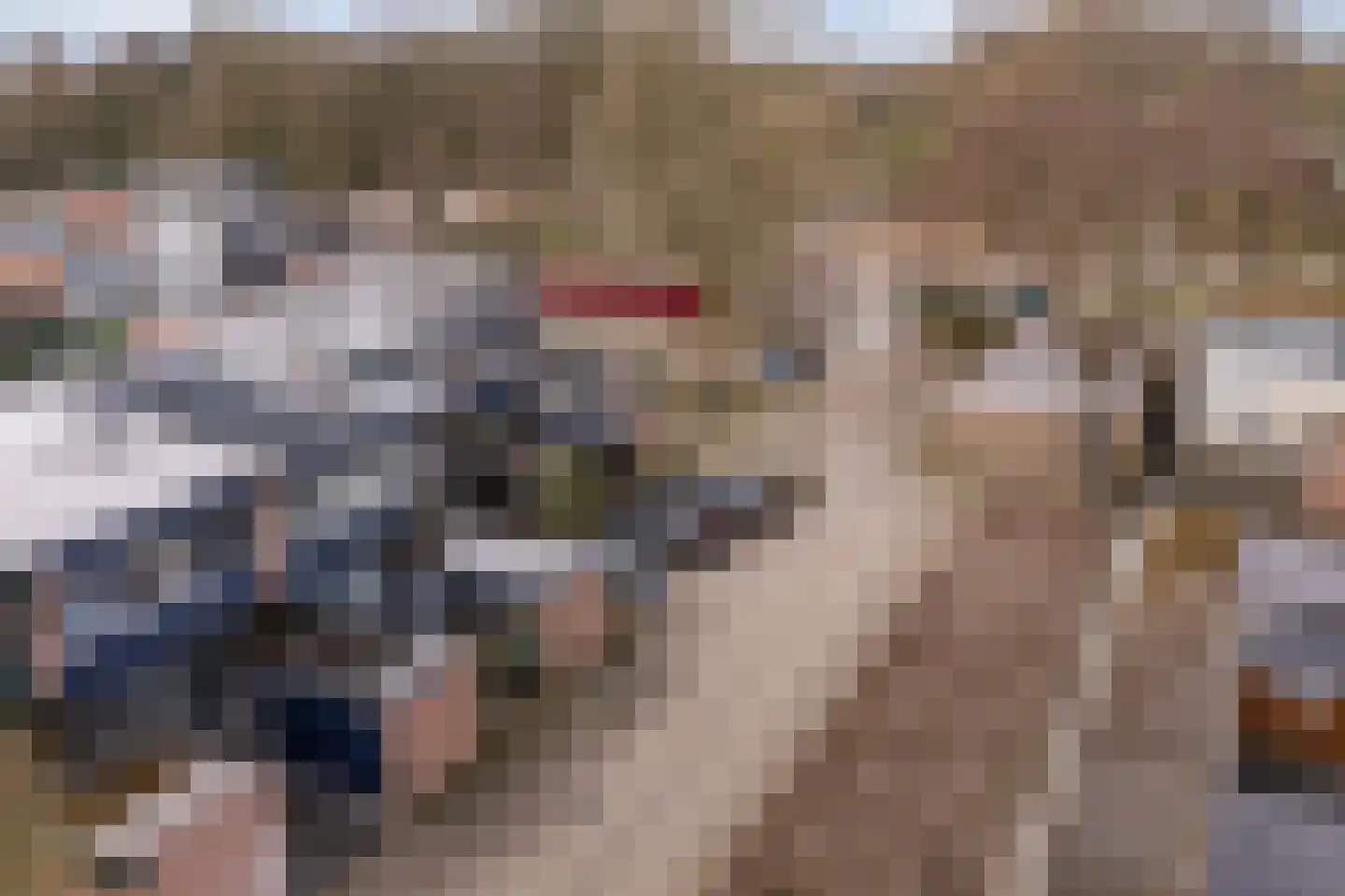 Laan van het Kinholt 603 Emmen thumbnail 34