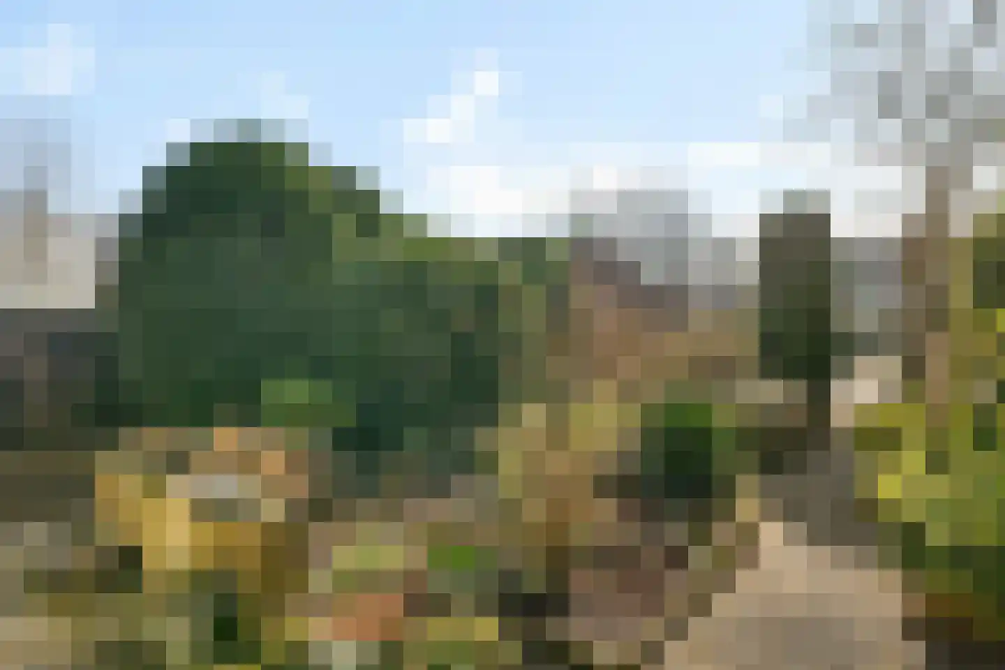 Laan van het Kinholt 607 Emmen thumbnail 18