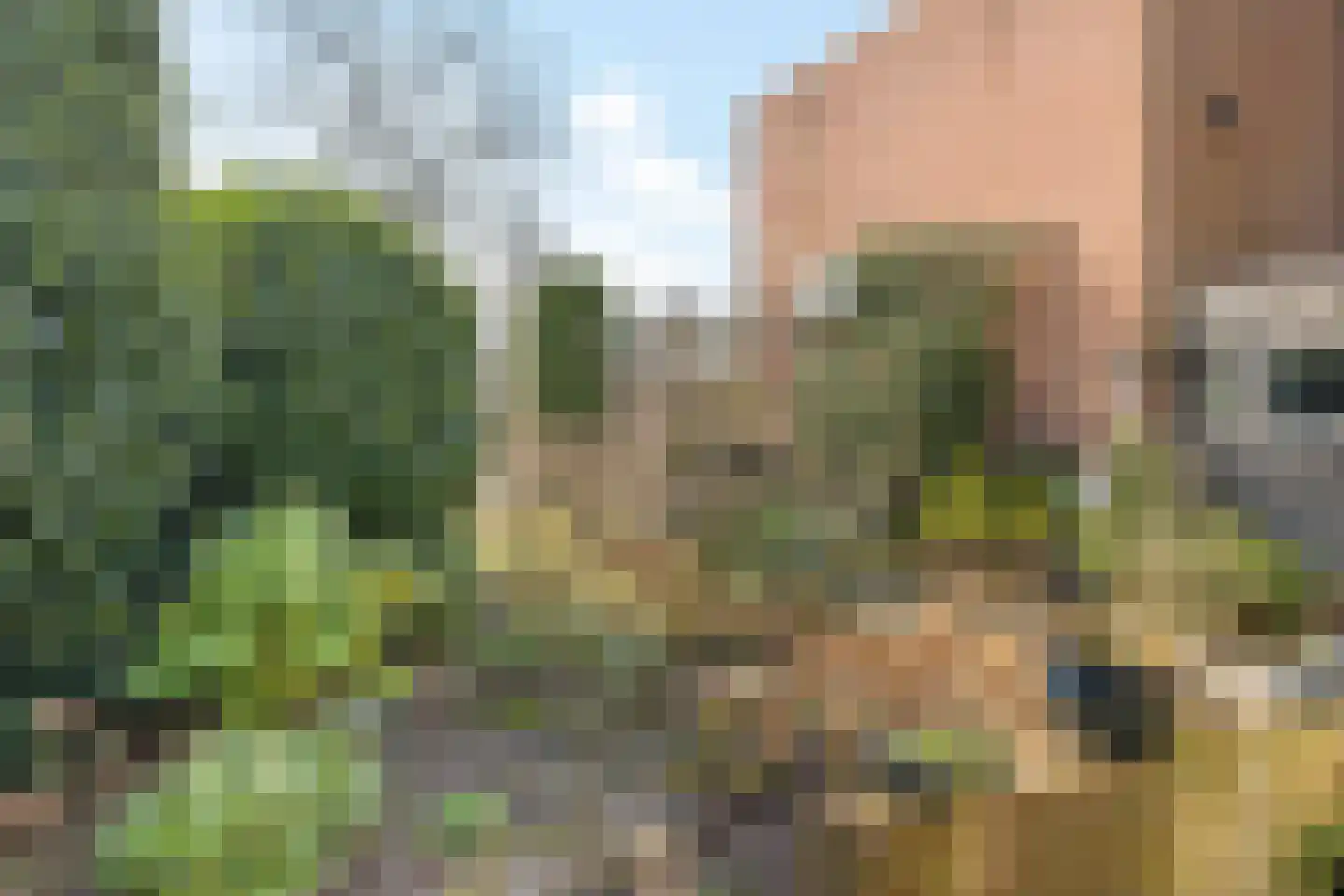 Laan van het Kinholt 607 Emmen thumbnail 20