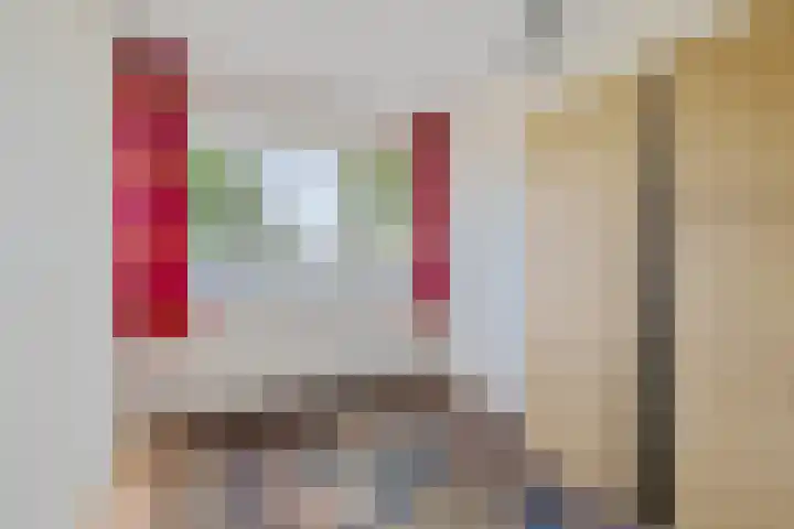 Laan van het Kinholt 669 Emmen thumbnail 20