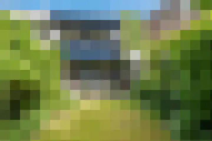 Laan van het Kinholt 669 Emmen thumbnail 28