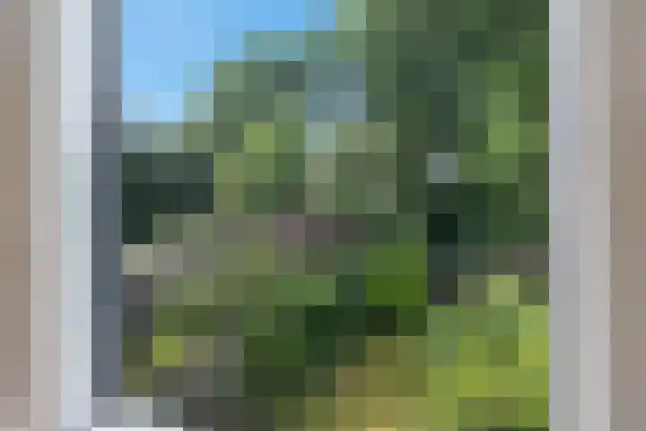 Laan van het Kinholt 669 Emmen thumbnail 29