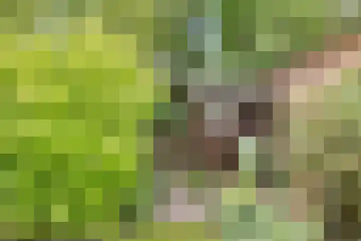 Laan van het Kinholt 669 Emmen thumbnail 30