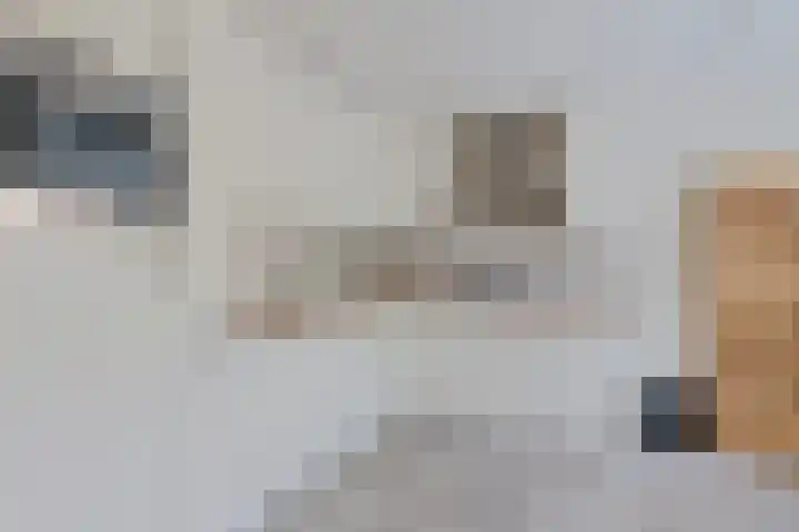 Laan van het Kinholt 669 Emmen thumbnail 4