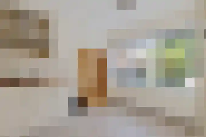 Laan van het Kinholt 669 Emmen thumbnail 5