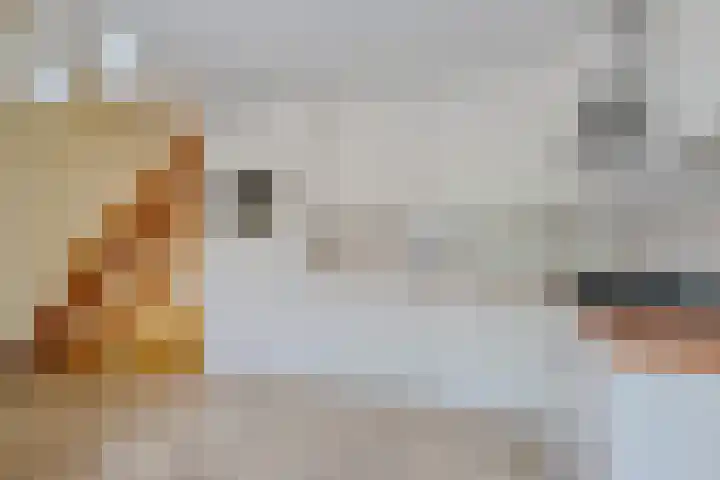 Laan van het Kinholt 669 Emmen thumbnail 6