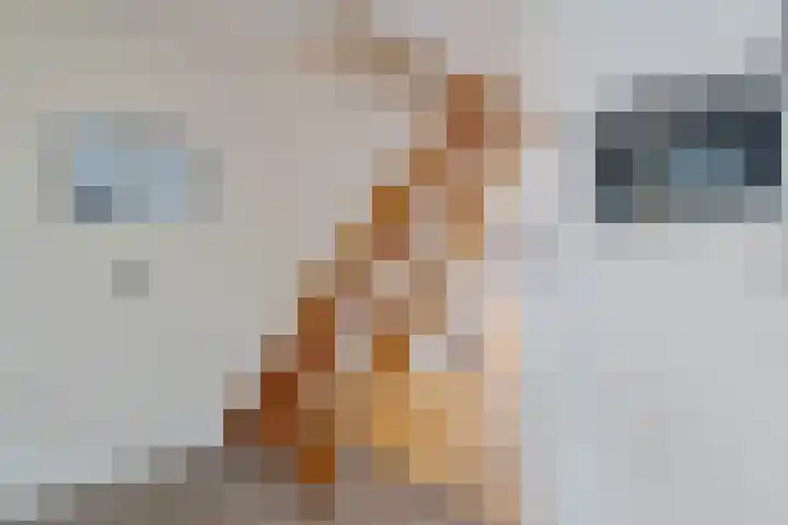 Laan van het Kinholt 669 Emmen thumbnail 7