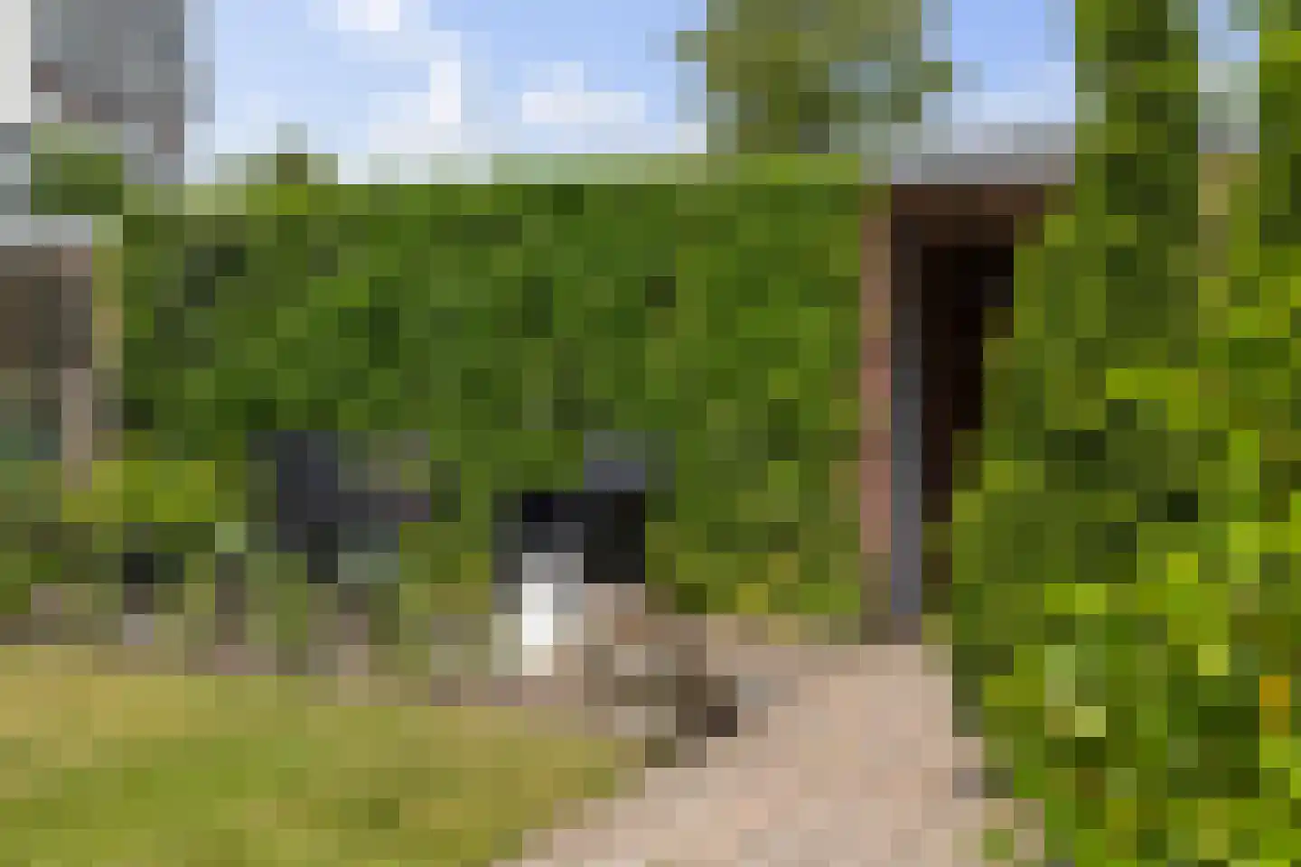 Laan van het Kinholt 84 Emmen thumbnail 31