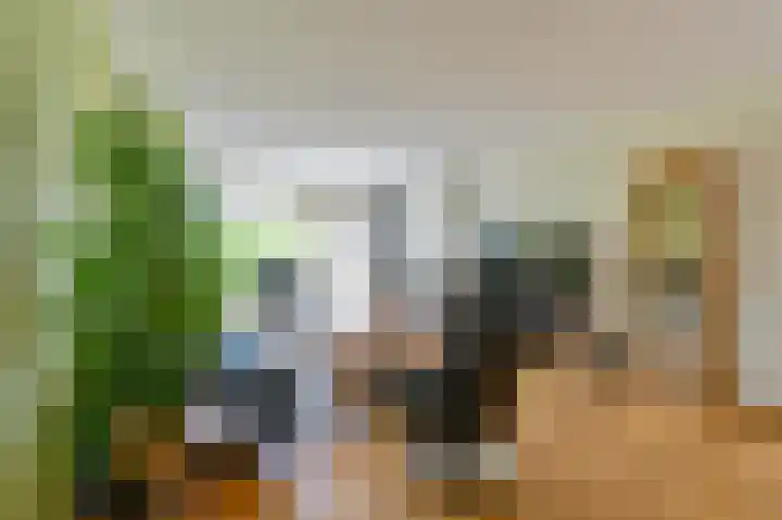 Laan van het Kinholt 85 Emmen thumbnail 10