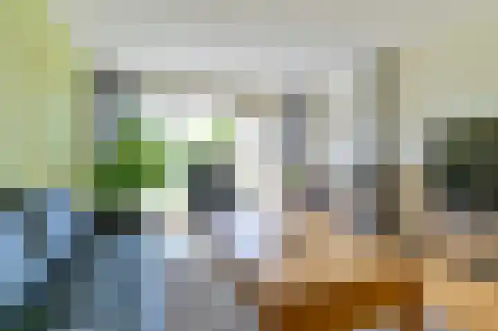 Laan van het Kinholt 85 Emmen thumbnail 11