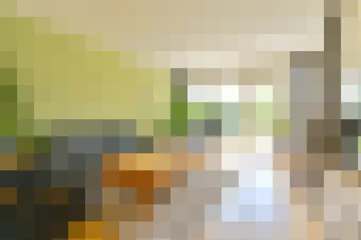 Laan van het Kinholt 85 Emmen thumbnail 12