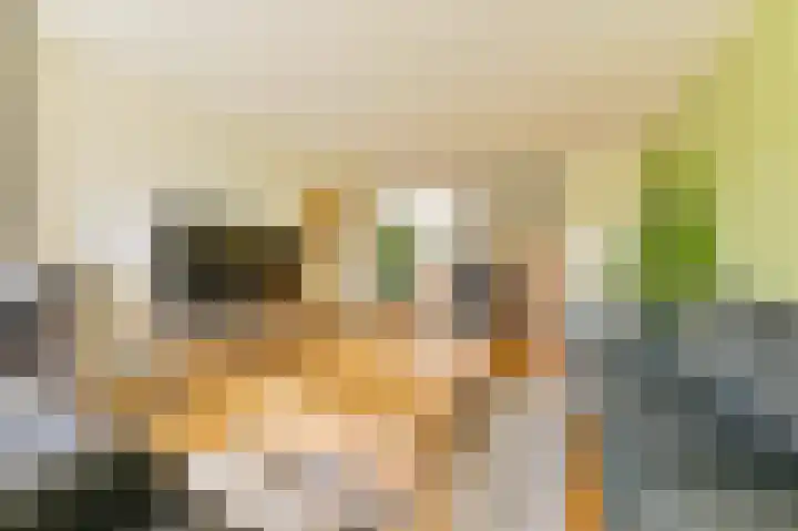 Laan van het Kinholt 85 Emmen thumbnail 15