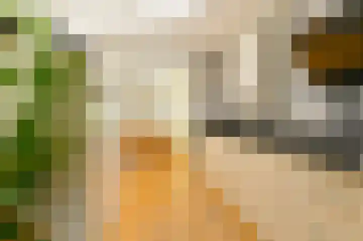 Laan van het Kinholt 85 Emmen thumbnail 17