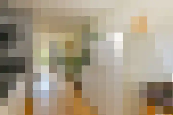 Laan van het Kinholt 85 Emmen thumbnail 20