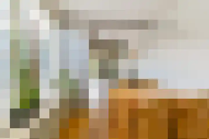Laan van het Kinholt 85 Emmen thumbnail 21