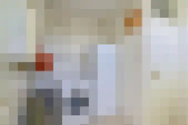 Laan van het Kinholt 85 Emmen thumbnail 44