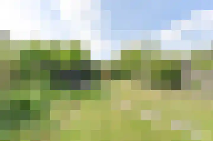 Laan van het Kinholt 85 Emmen thumbnail 47