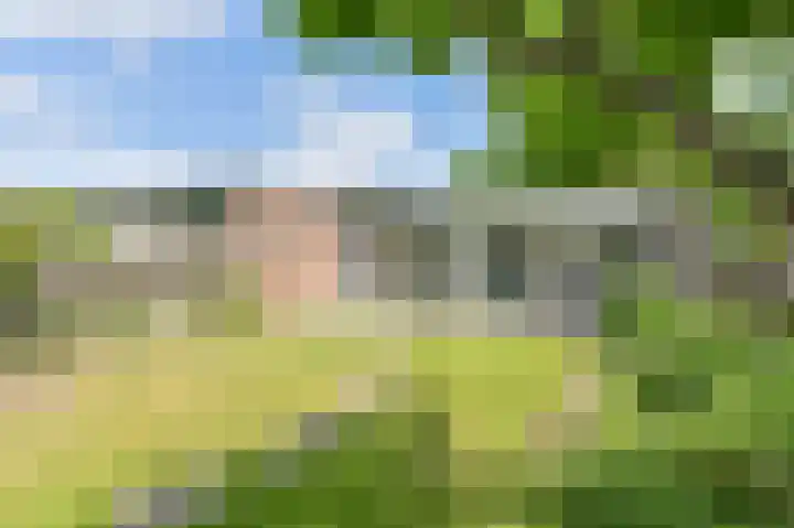 Laan van het Kinholt 85 Emmen thumbnail 50