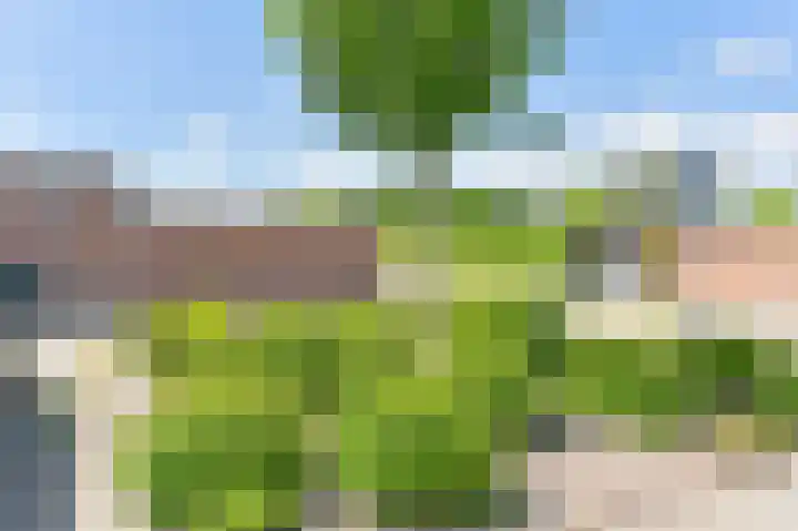 Laan van het Kinholt 85 Emmen thumbnail 53