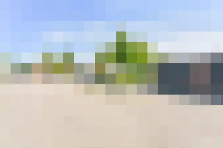 Laan van het Kinholt 85 Emmen thumbnail 56
