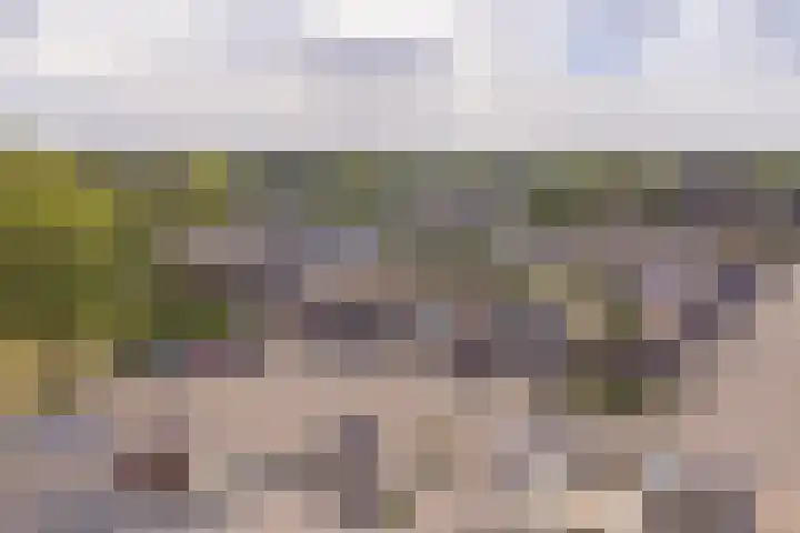 Laan van het Kinholt 85 Emmen thumbnail 65
