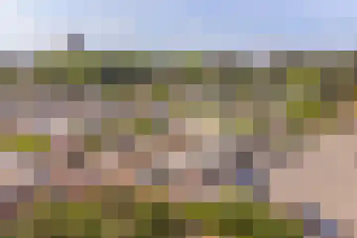 Laan van het Kinholt 85 Emmen thumbnail 66
