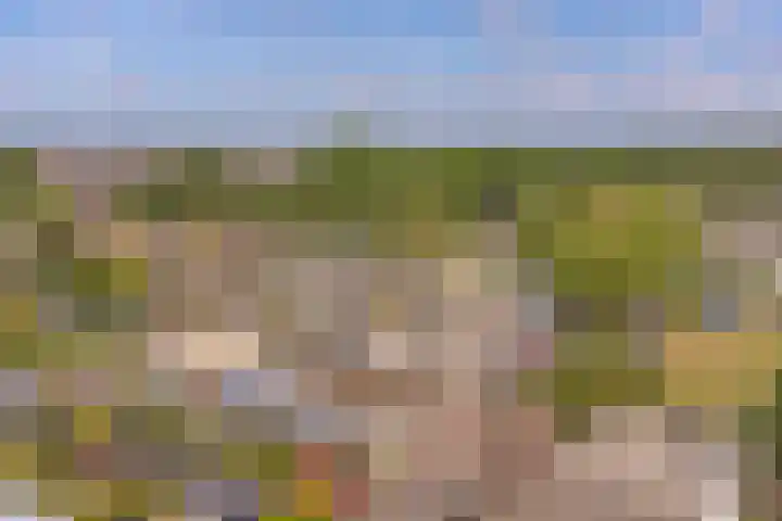Laan van het Kinholt 85 Emmen thumbnail 67