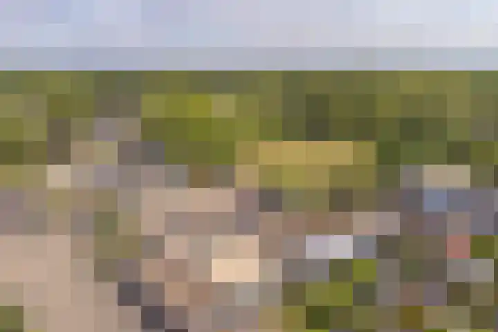 Laan van het Kinholt 85 Emmen thumbnail 68