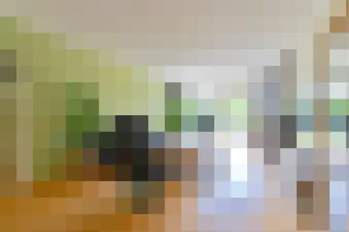 Laan van het Kinholt 85 Emmen thumbnail 9