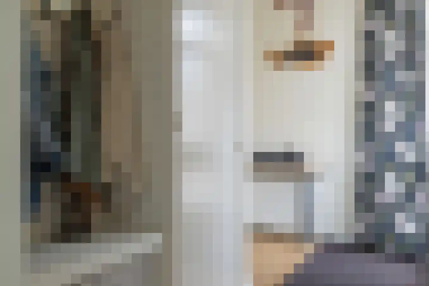 Laan van het Kwekebos 121 Emmen thumbnail 11