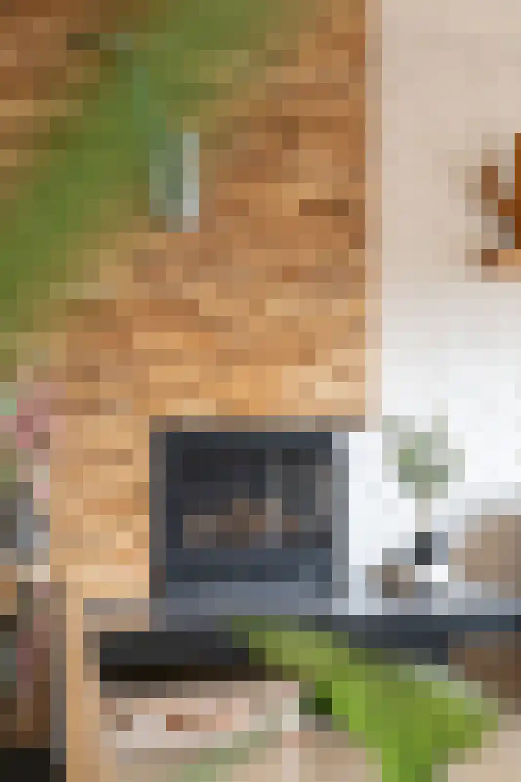 Laan van het Kwekebos 121 Emmen thumbnail 14