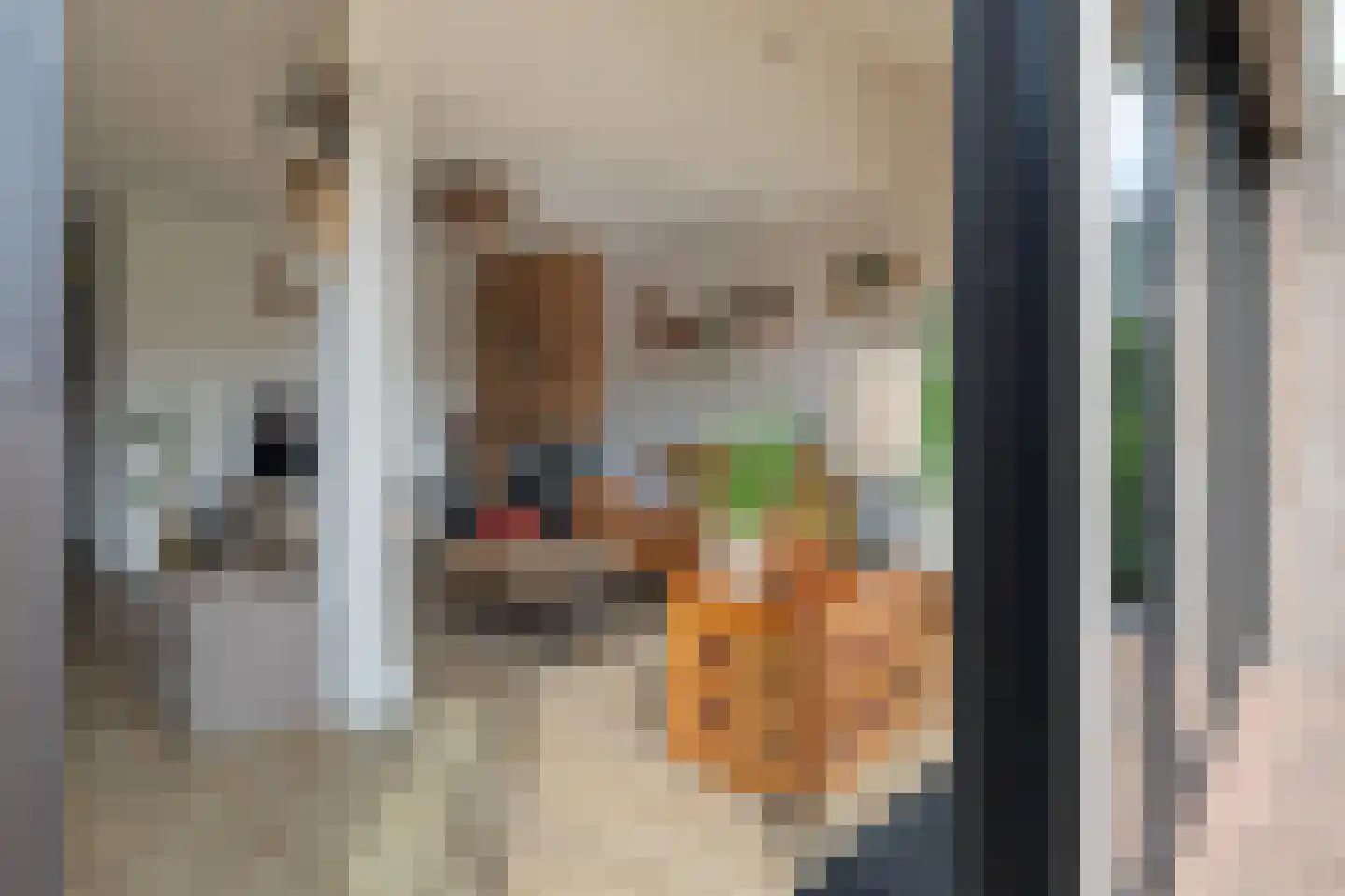 Laan van het Kwekebos 121 Emmen thumbnail 15