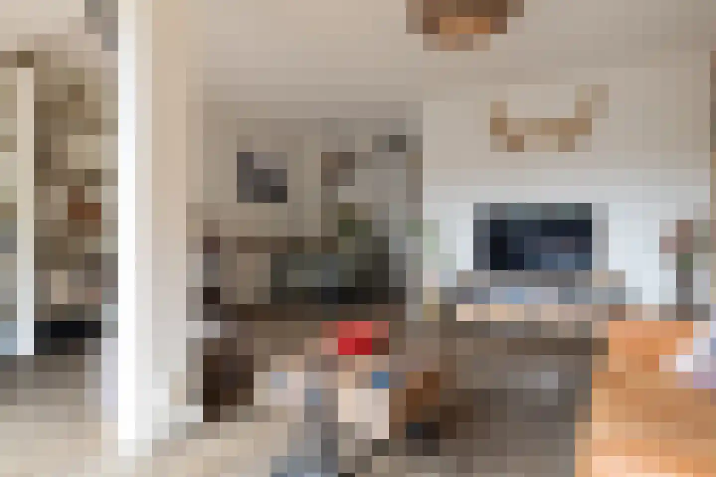 Laan van het Kwekebos 121 Emmen thumbnail 17