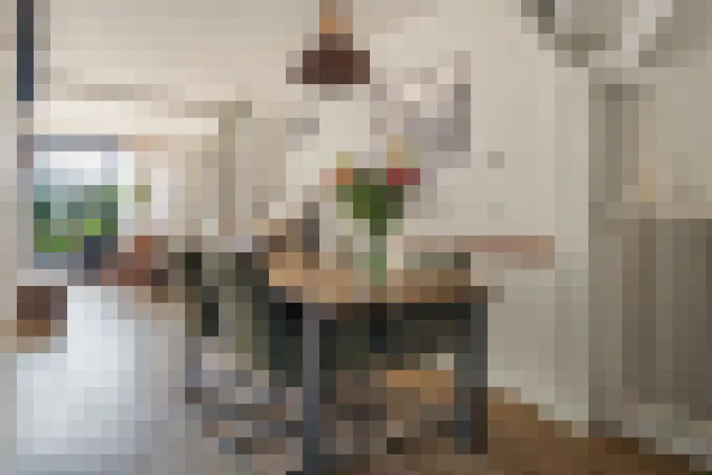 Laan van het Kwekebos 121 Emmen thumbnail 19