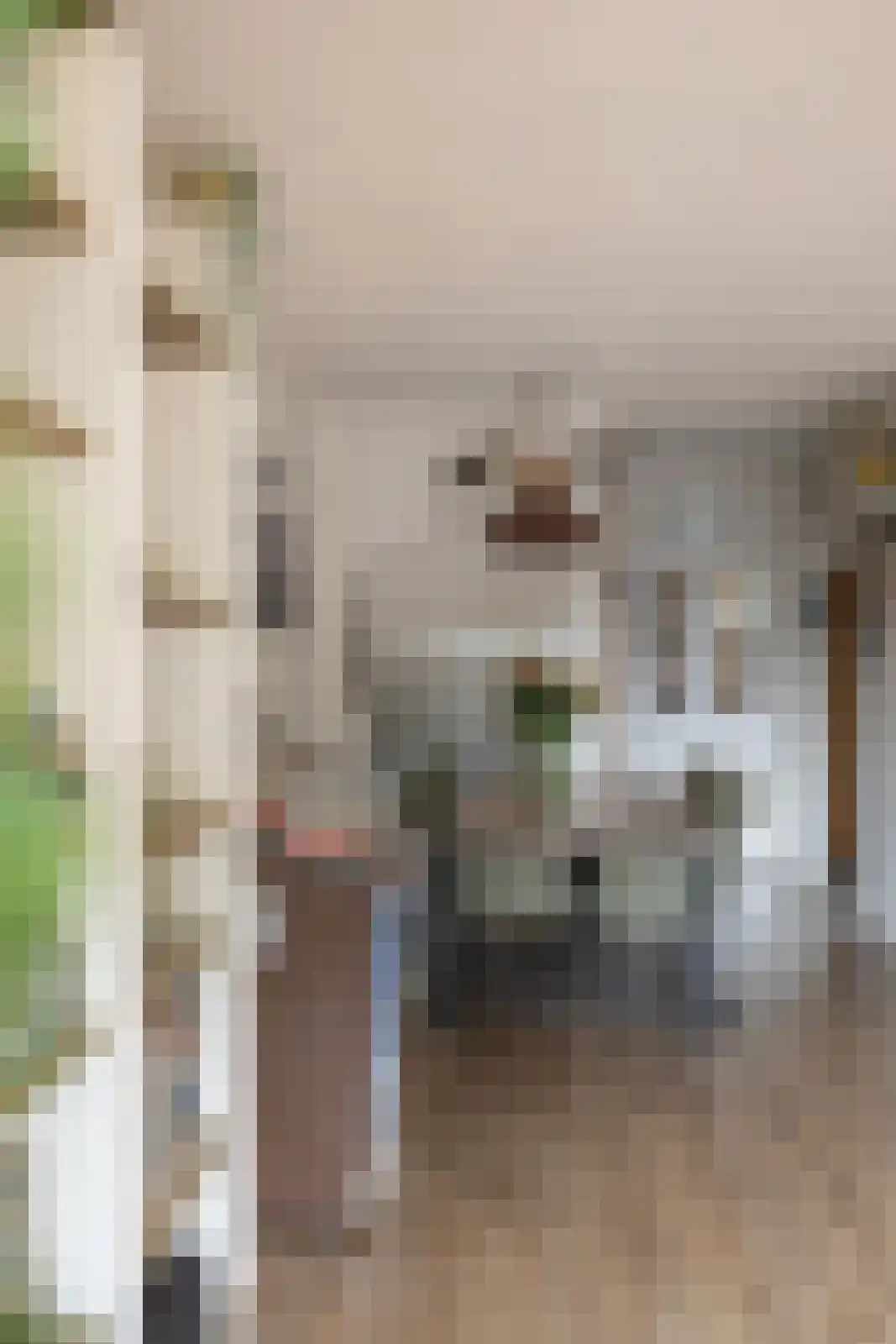 Laan van het Kwekebos 121 Emmen thumbnail 20