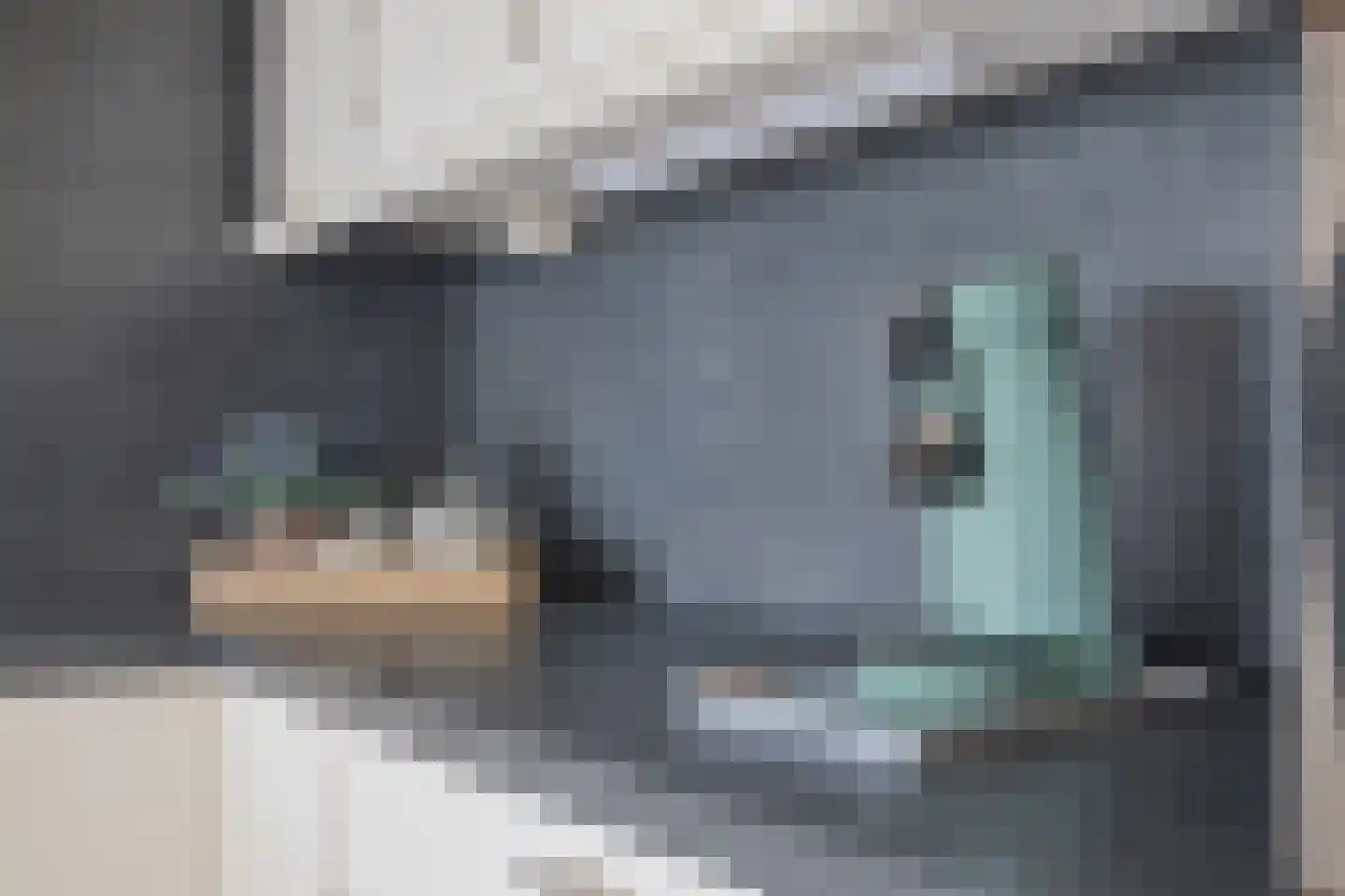 Laan van het Kwekebos 121 Emmen thumbnail 24