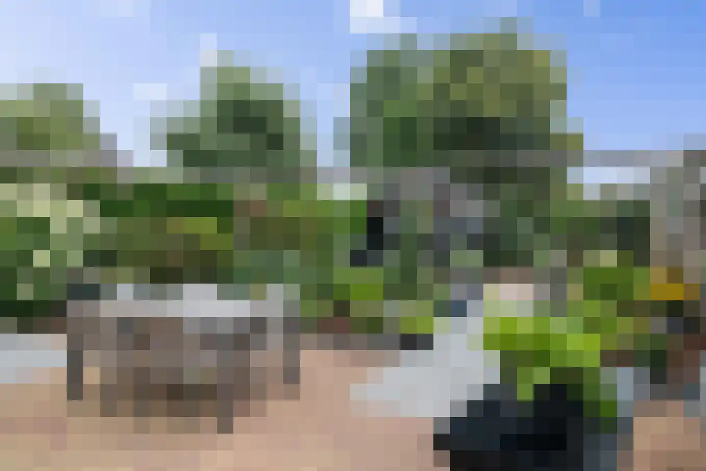 Laan van het Kwekebos 121 Emmen thumbnail 41