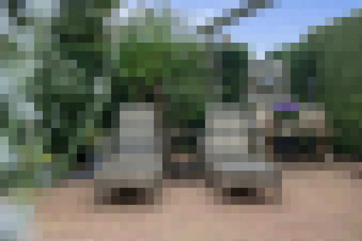 Laan van het Kwekebos 121 Emmen thumbnail 44
