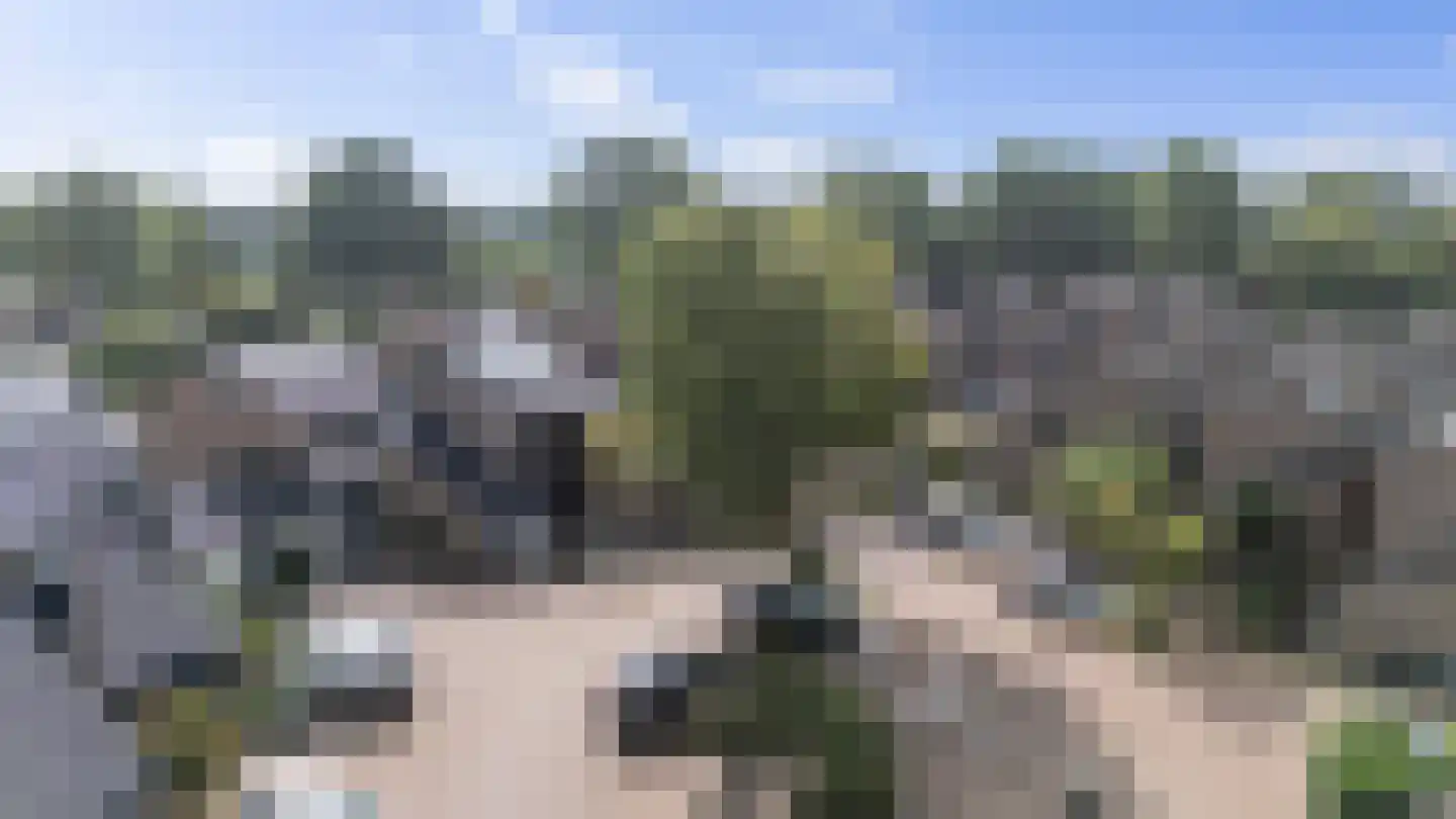 Laan van het Kwekebos 121 Emmen thumbnail 50