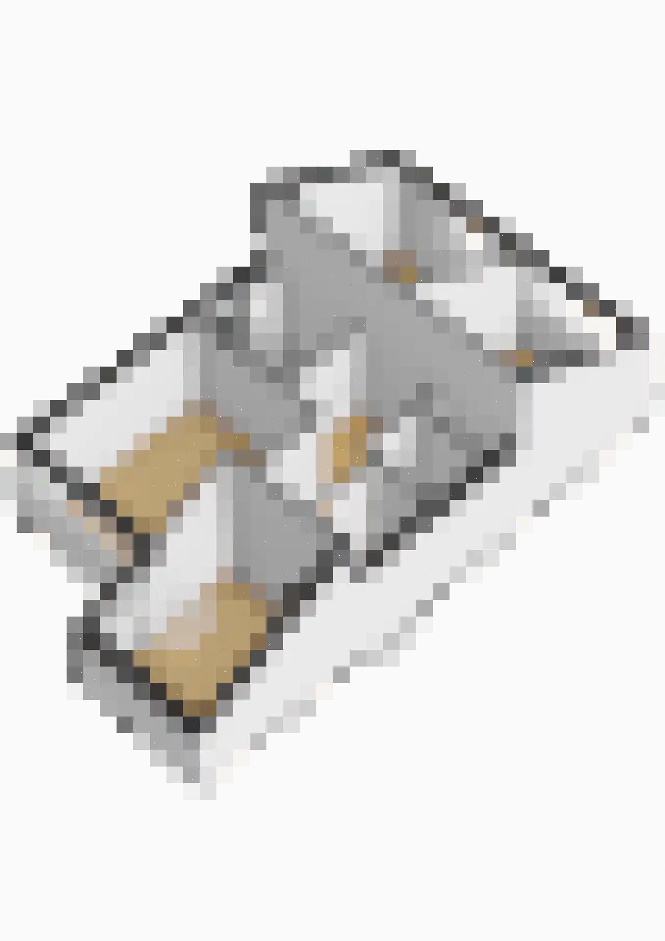 Laan van het Kwekebos 121 Emmen thumbnail 54