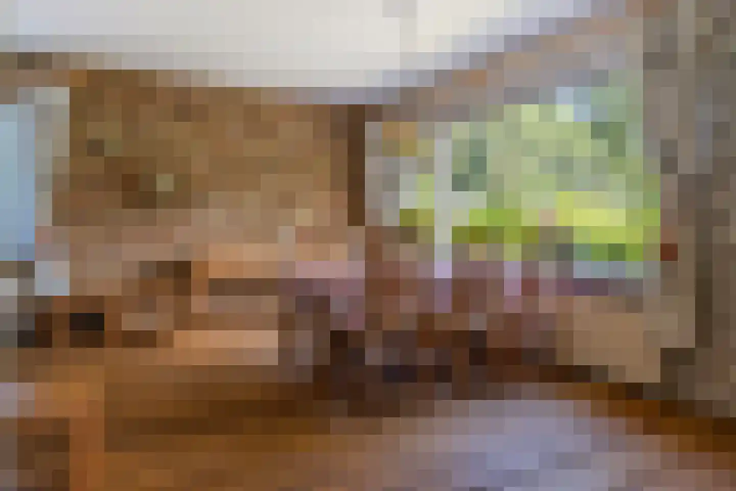 Laan van het Kwekebos 170 Emmen thumbnail 14